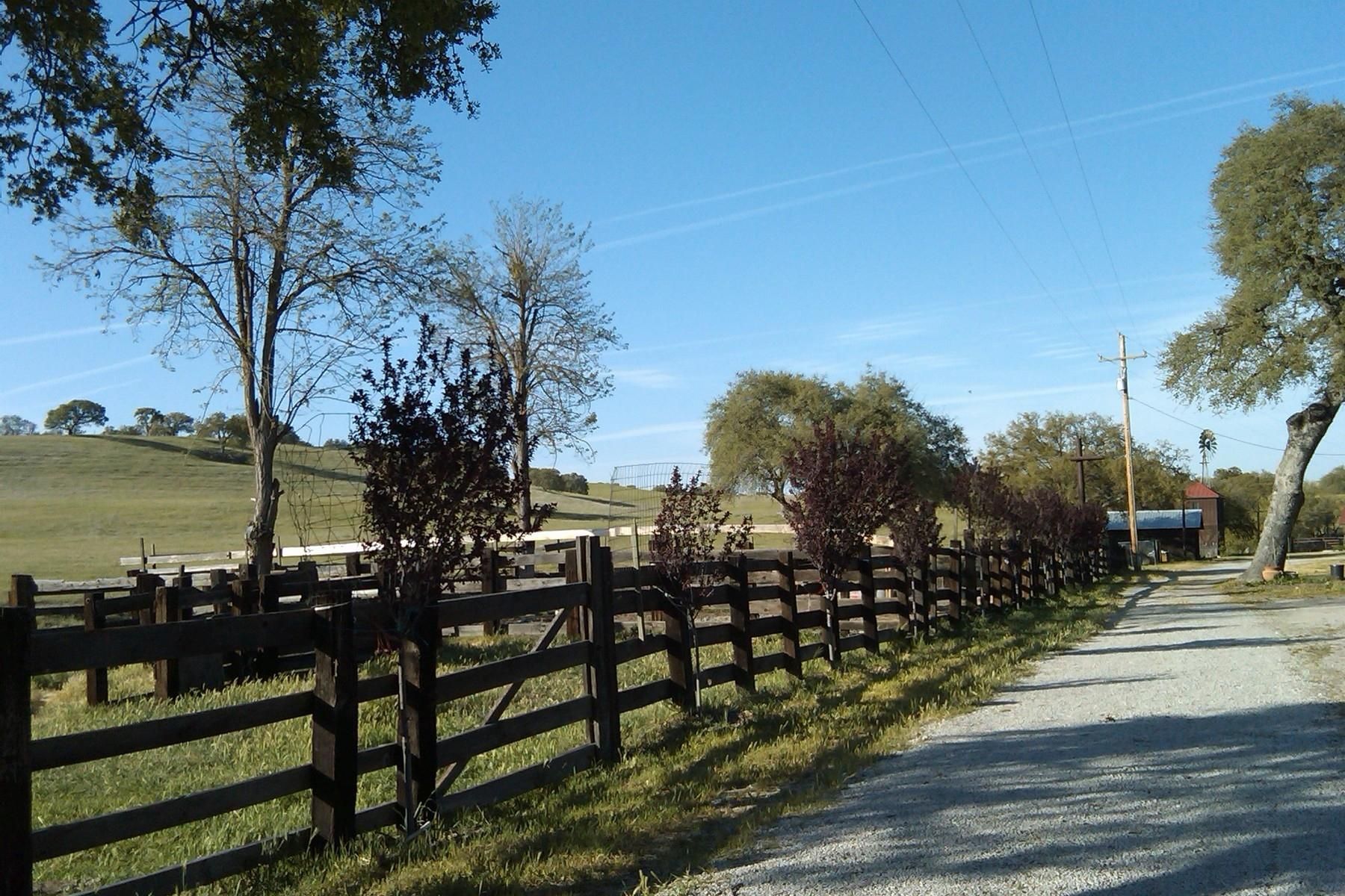 80 Acres, 3470 Ranchita Canyon Road, San Miguel, CA 93451 Land and Farm