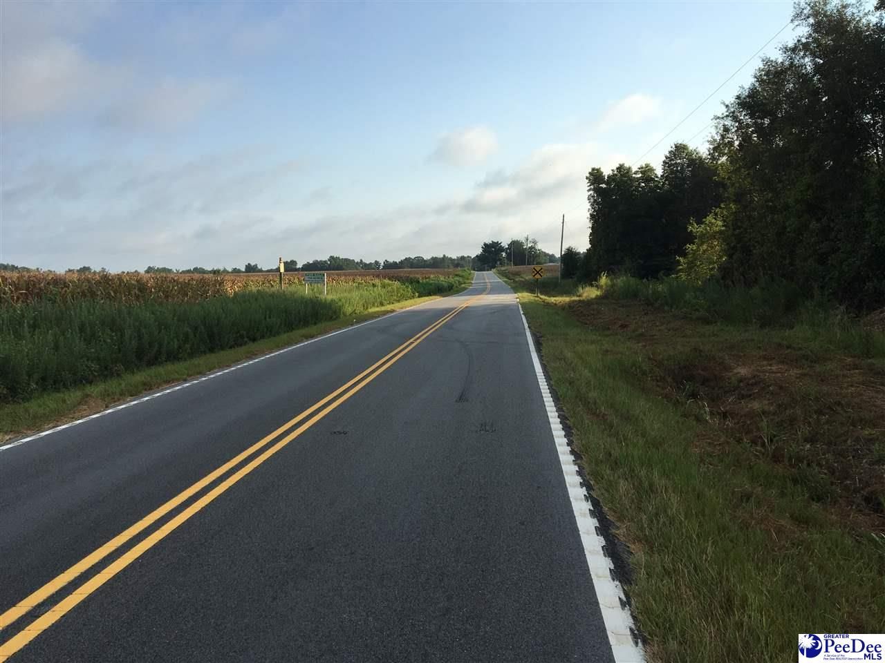 100 Acres, TBD HWY 401, SC 29512 Land and Farm