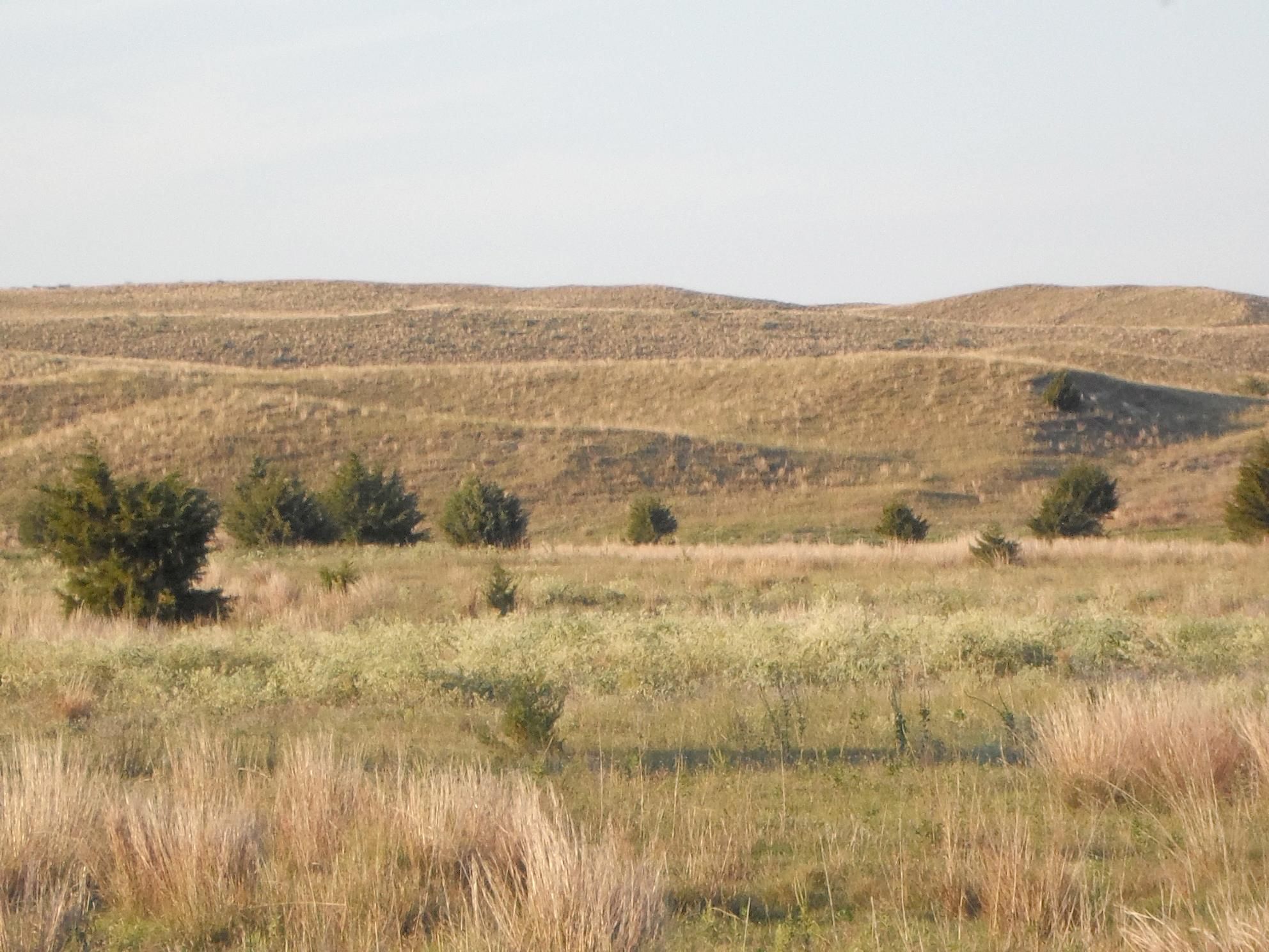 80 Acres, Brewster, NE 68821 Land and Farm