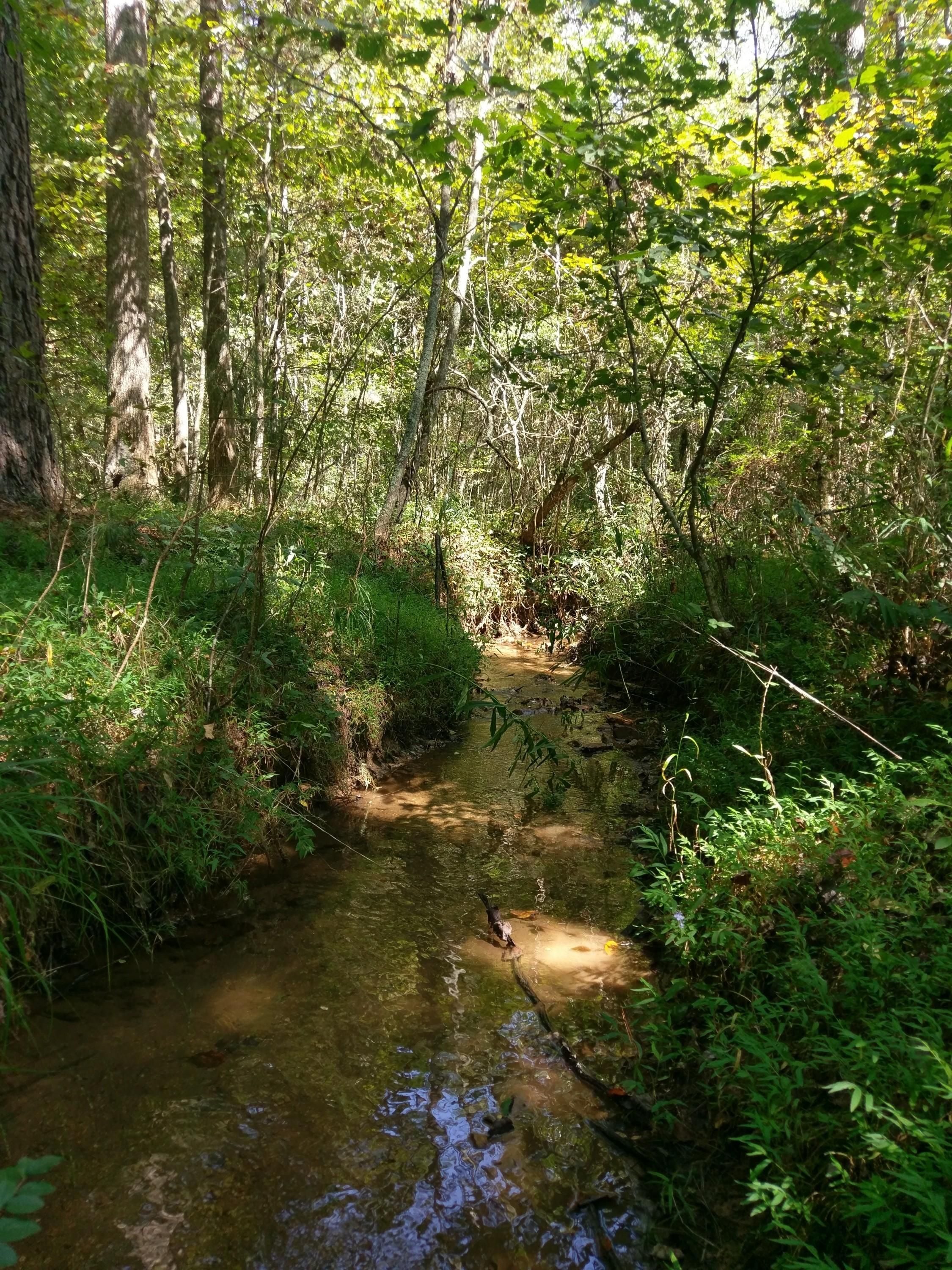 94 Acres, State Highway 382, Ellijay, GA 30540 Land and Farm