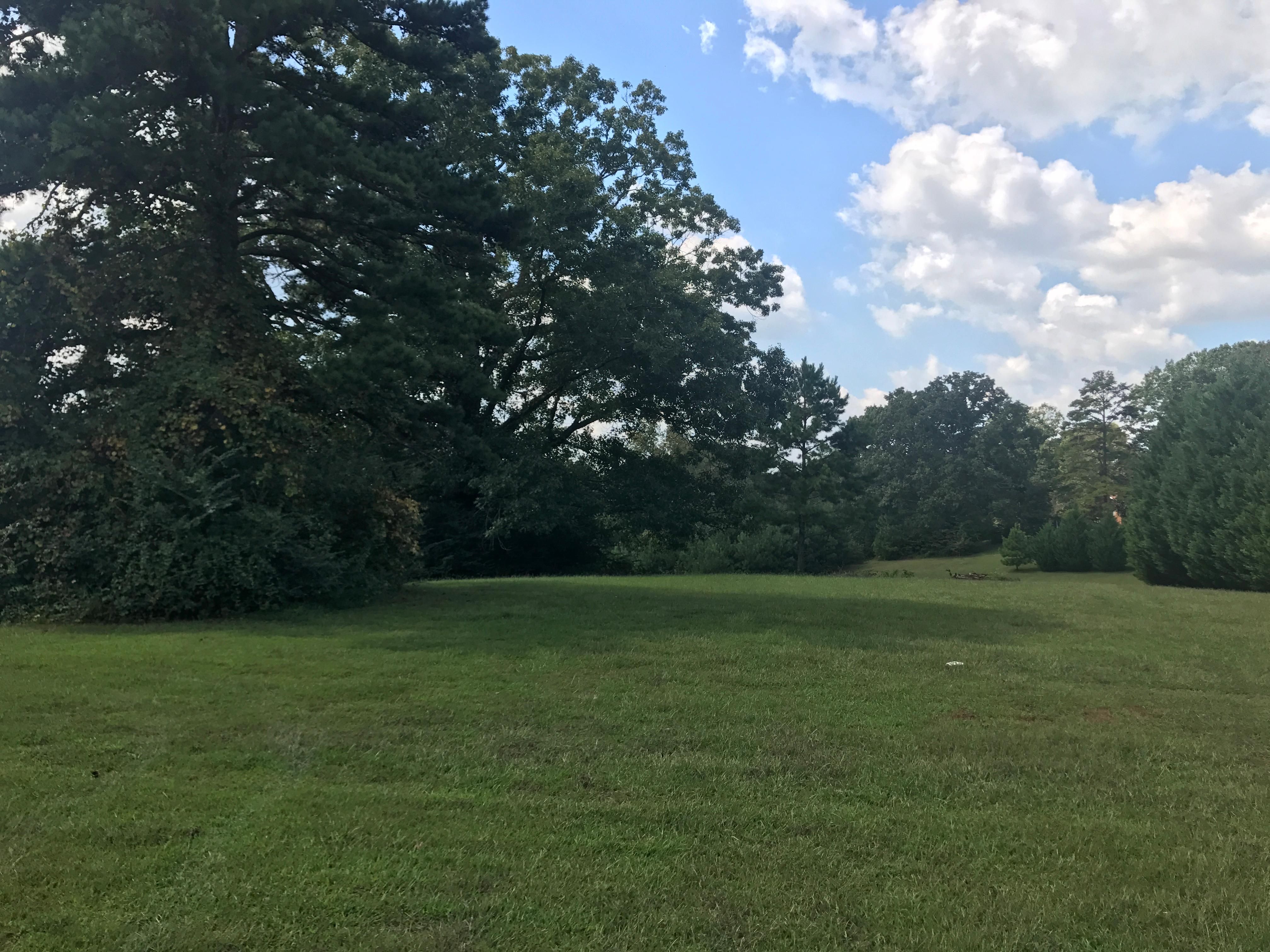 15.14 Acres, Old Dallas Road, Cartersville, GA 30120 Land and Farm