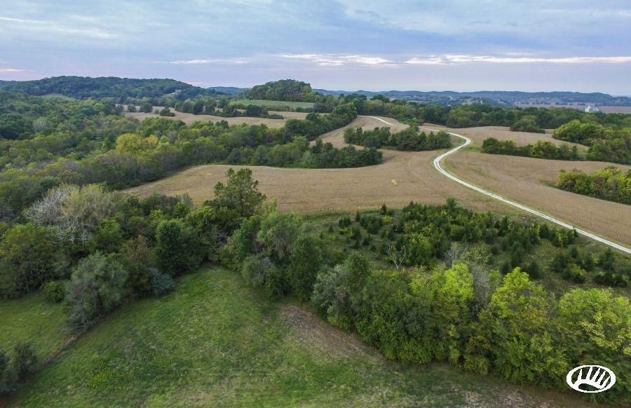 298 Acres, 18826 Hwy 79, Clarksville, MO 63336 Land and Farm