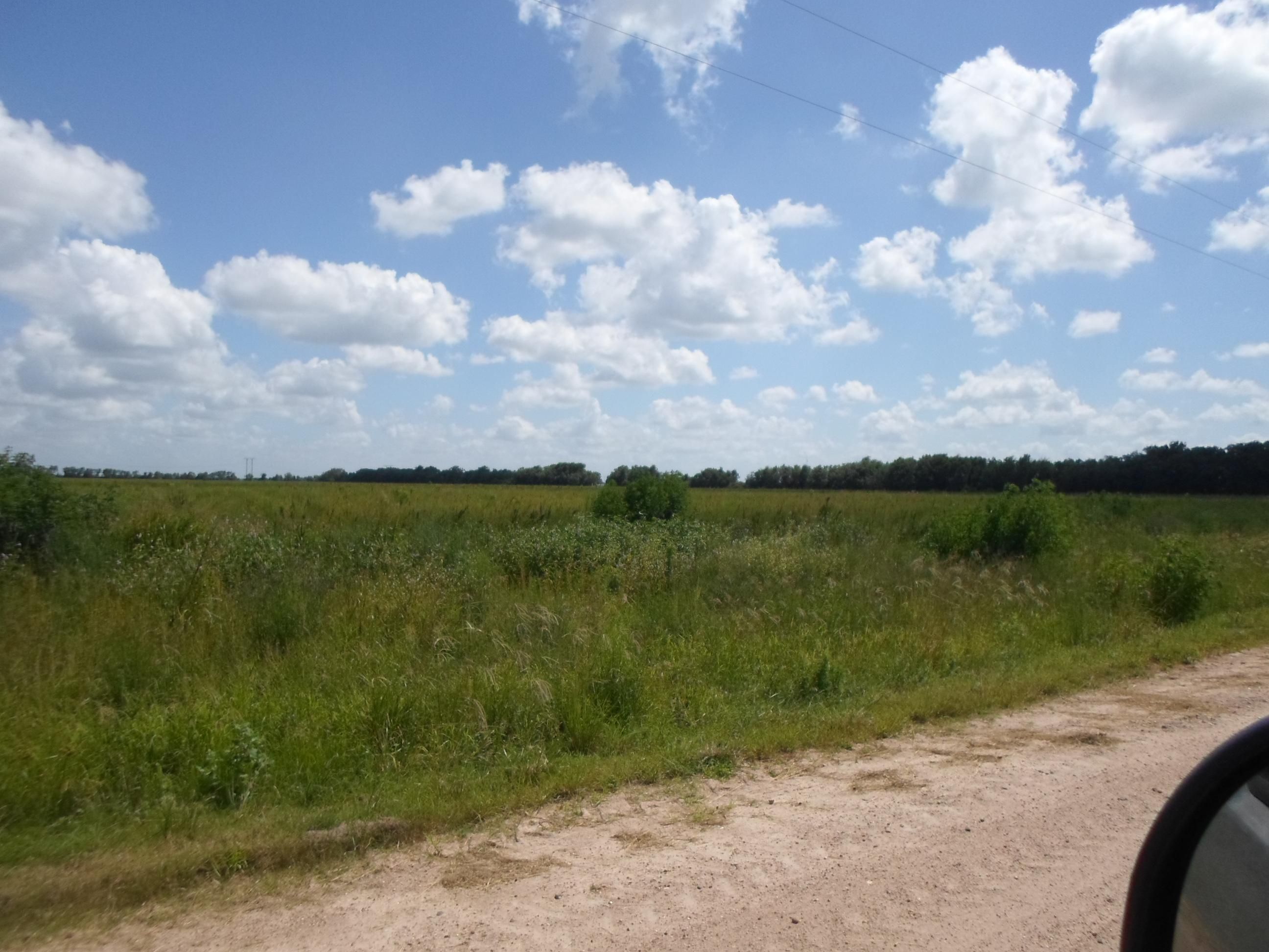 40 acres in Danevang, TX, 77432 Land and Farm