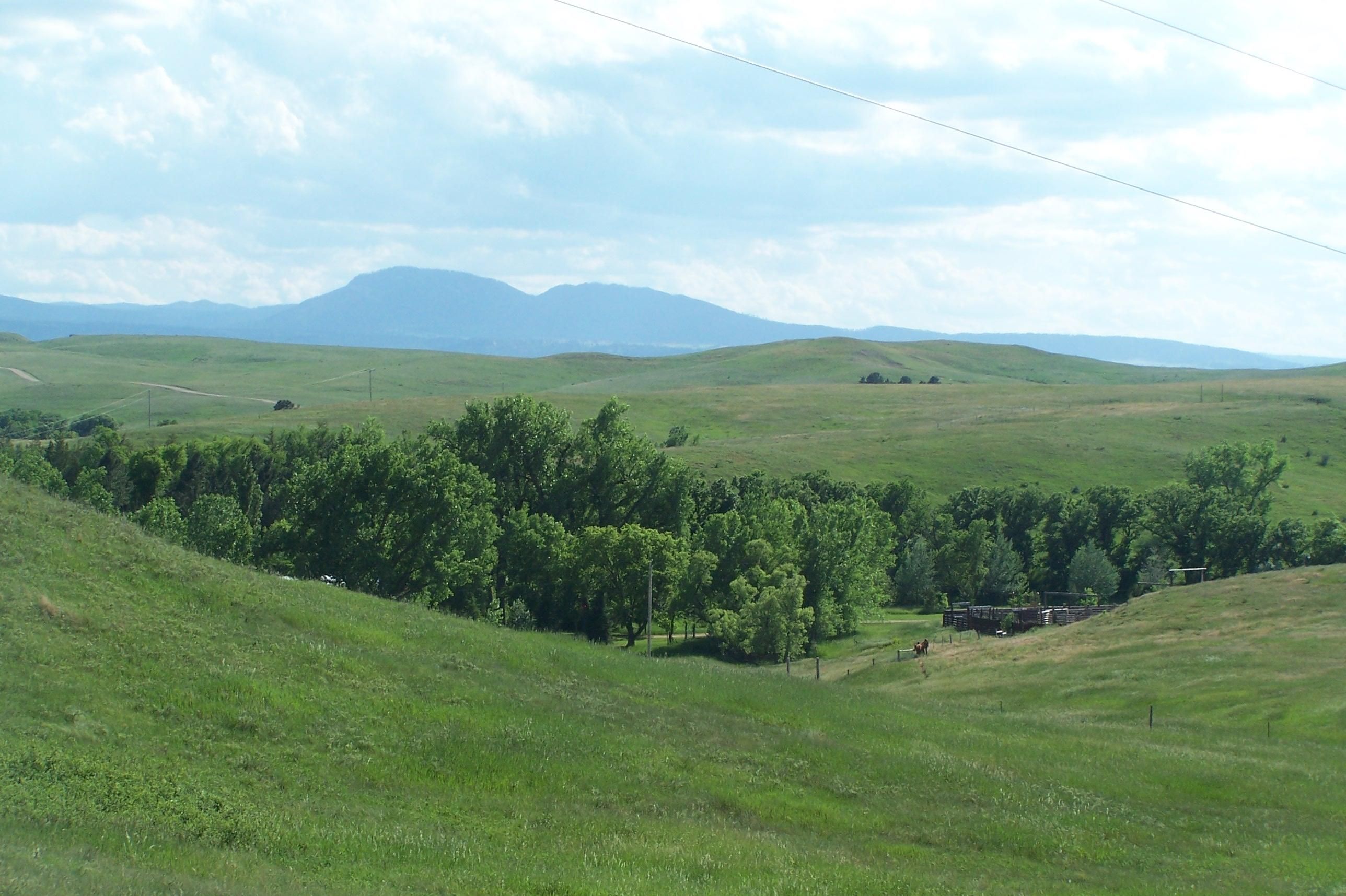 167.5 Acres, 11257 194th Street, Saint Onge, SD 57779 Land and Farm