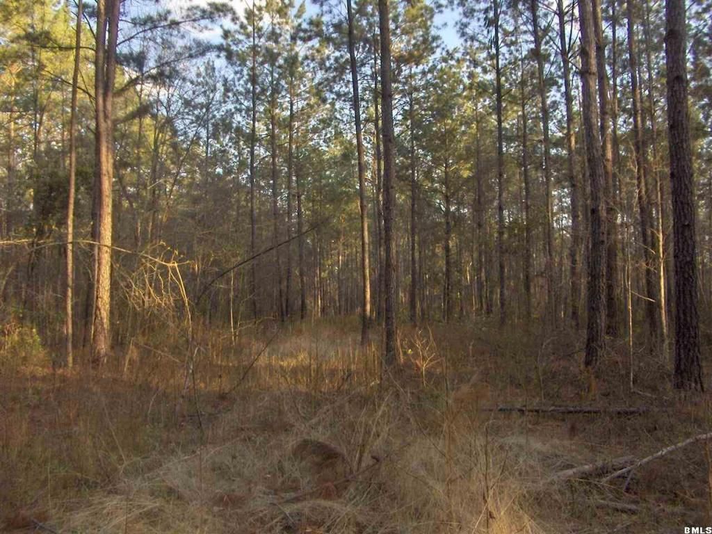 12 Acres, 00 Henderson Rd Or Crews Cemt.Rd Road, Varnville, SC 29944