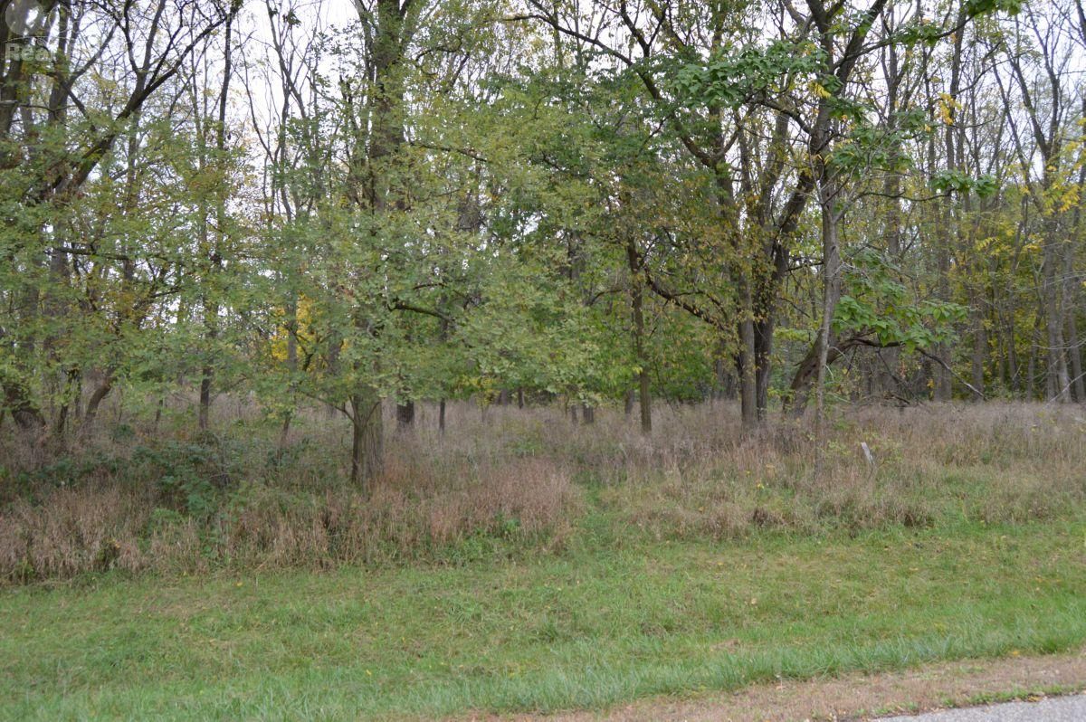 0.42 Acres, South Thomas Street, Westfield, WI 53964 Land and Farm