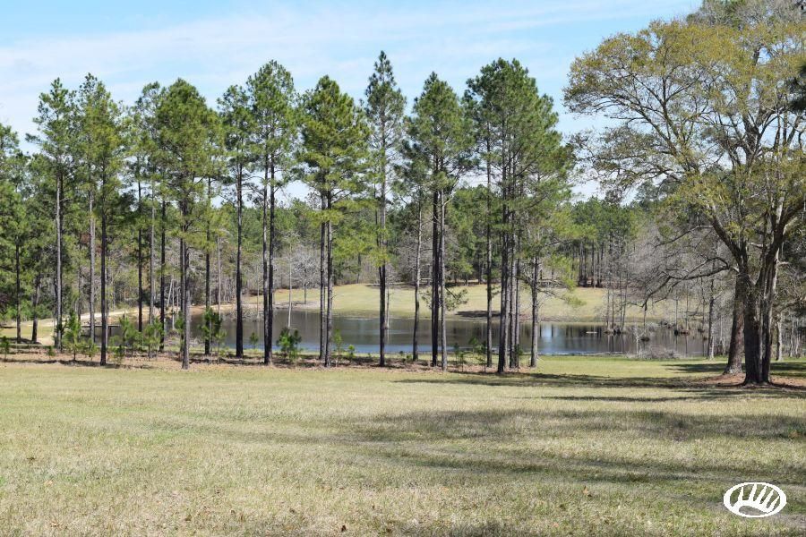 312.65 Acres, Yawn Cemetery Road, Hazlehurst, GA 31539 Land and Farm