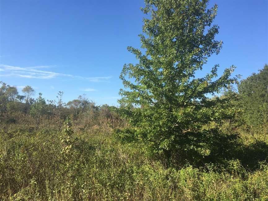 61 Acres, 795 Dorsey Lake Rd., Lambert, MS 38643 Land and Farm