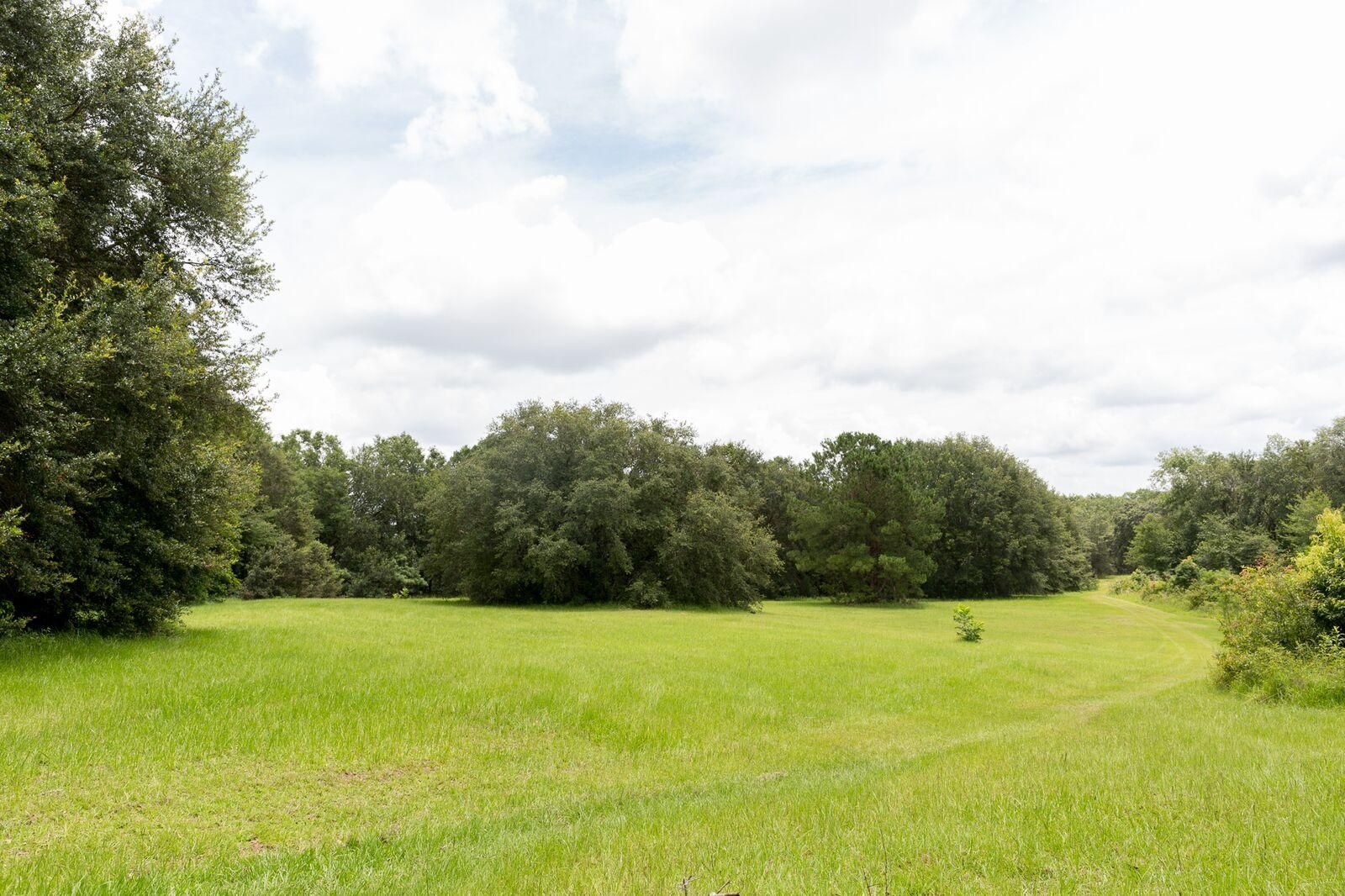 420 Acres, 343 Sea Pond Lane 323, Quitman, GA 31643 Land and Farm