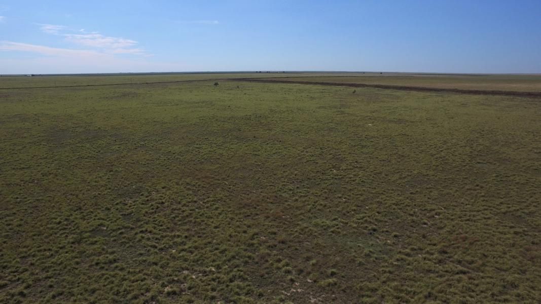 177 Acres, Morton, TX 79346 Land and Farm