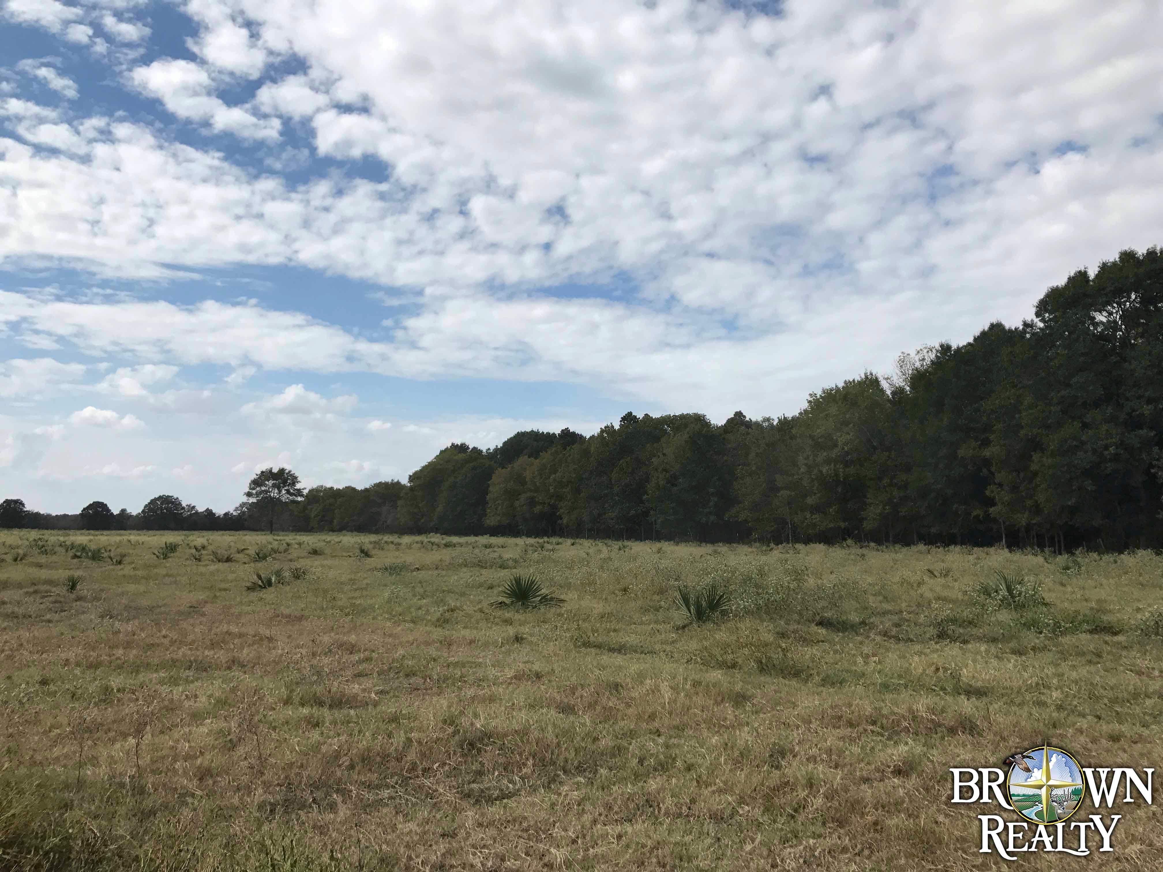 400 Acres, Dehlco Road, Rayville, LA 71269 Land and Farm