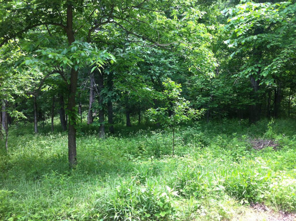 3 Acres, Track 2 North Farm Rd 197, Fair Grove, MO 65648 Land and Farm