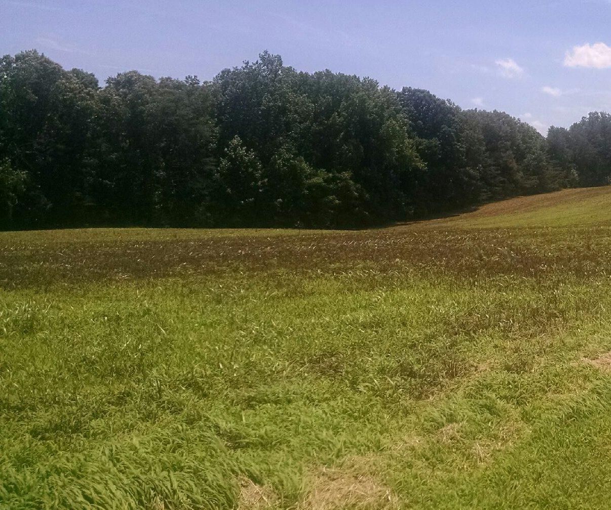 12 Acres, 10243 Newland Road, Warsaw, VA 22572 Land and Farm