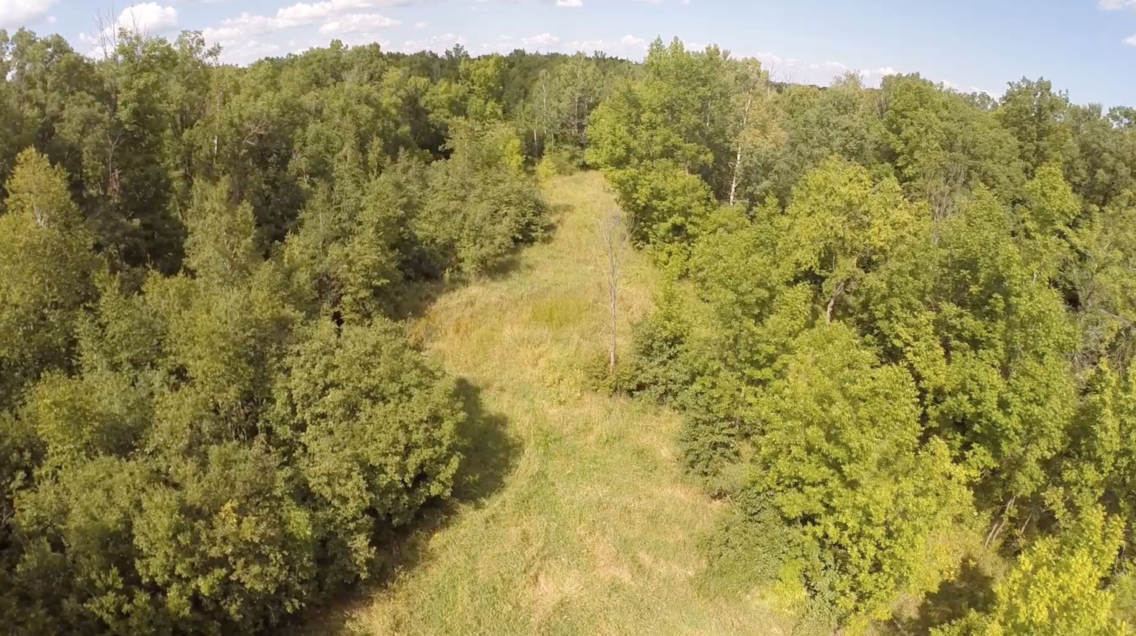 400 Acres, Onamia, MN 56359 Land and Farm