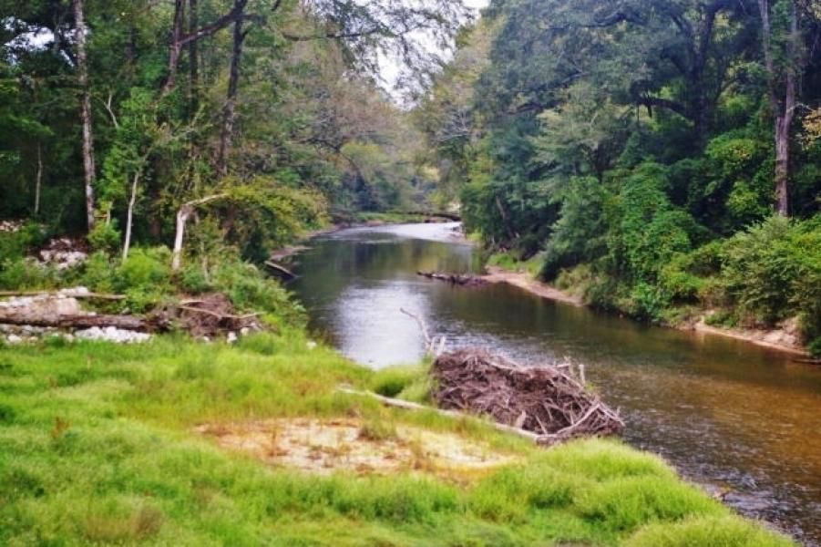 27 Dillons Bridge Road, Tylertown, MS 39667 Land and Farm