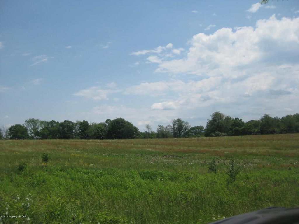 100 Acres, 693 Lily Lake Rd, Wapwallopen, PA 18660 Land and Farm