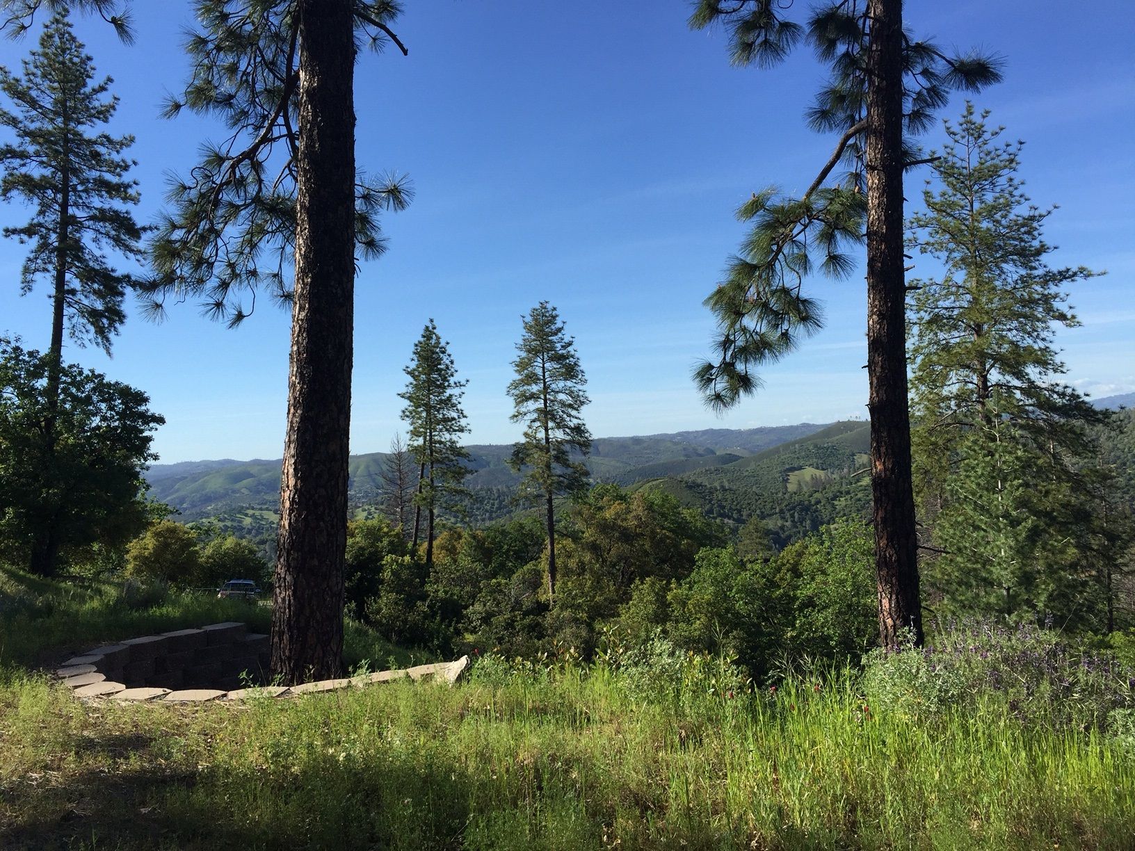 5279 El Camino Casale, Murphys, CA 95247 MLS 1700893 Land and Farm