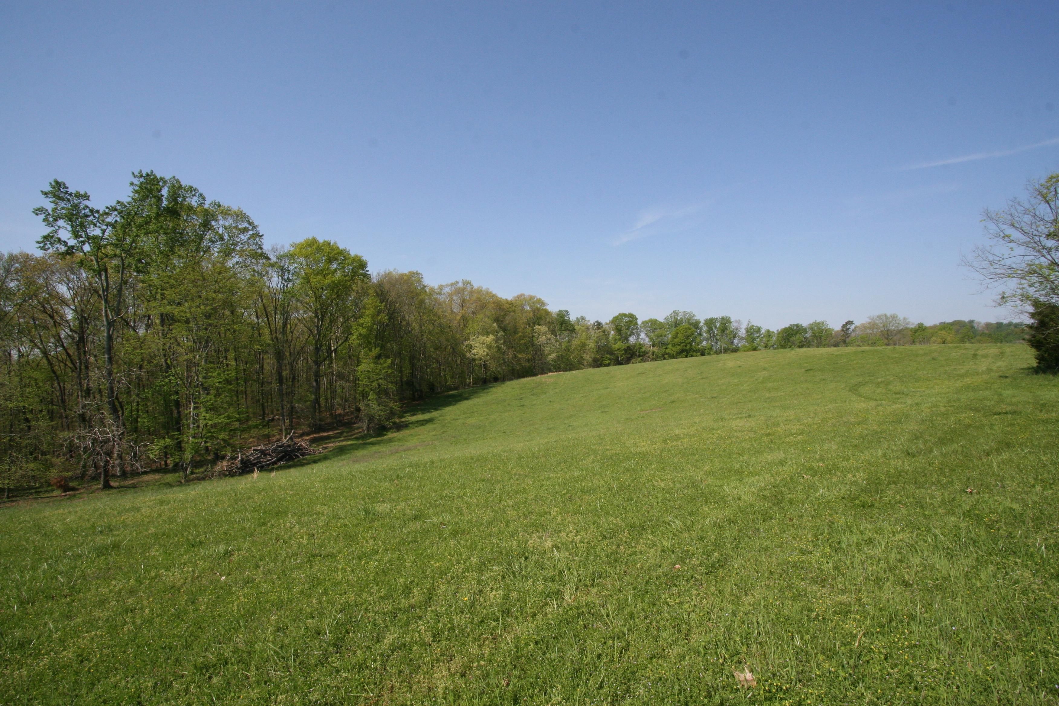 74 Acres, 2265 Peterson Rd, Greenback, TN 37742 Land and Farm