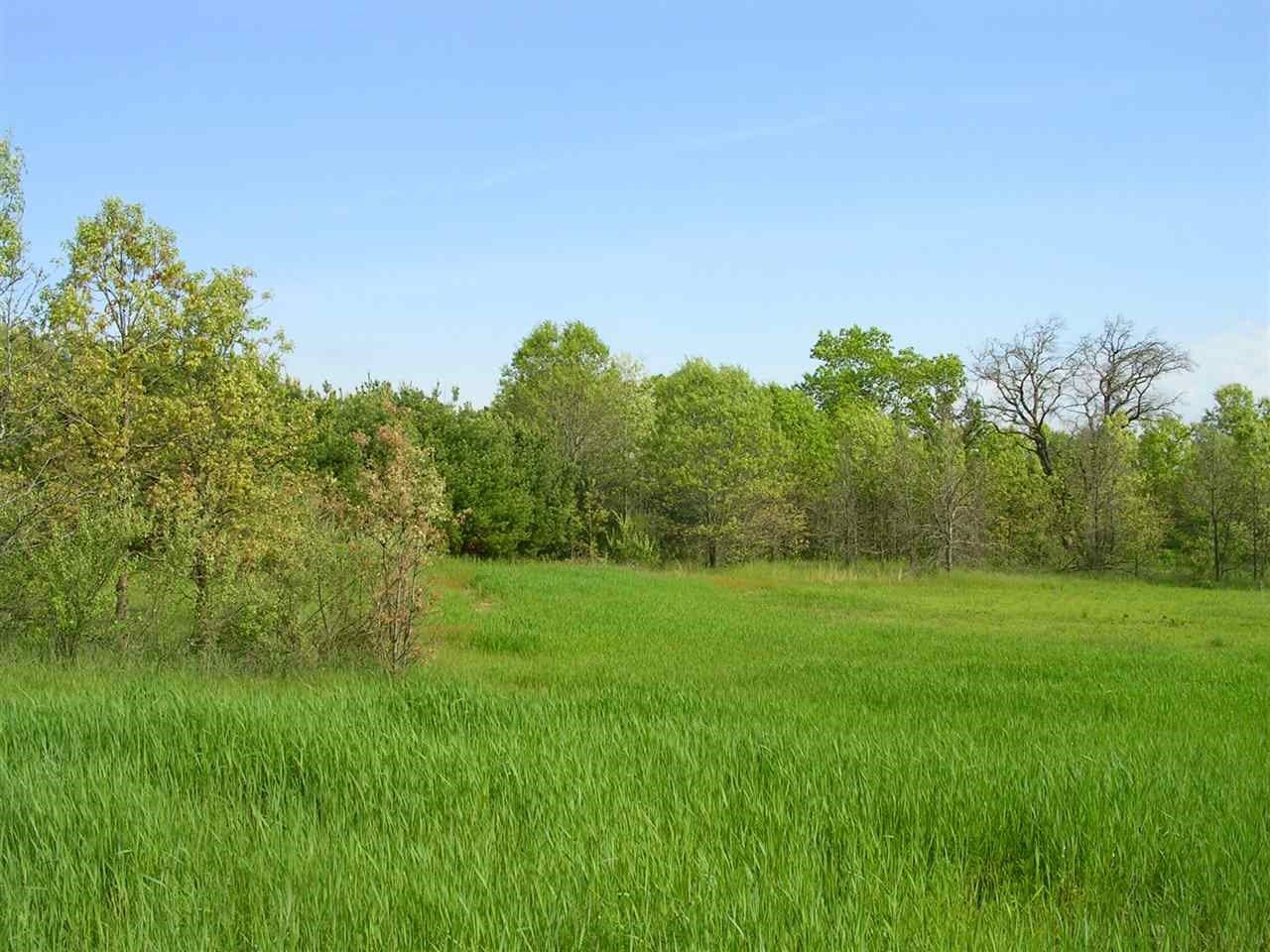42 Acres, Lot 1 Hwy Gg, Coloma, WI 54930 Land and Farm