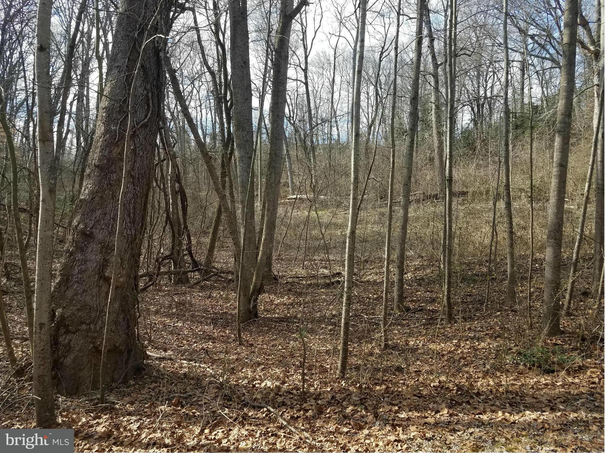 2.48 Acres, LOT 27 GREENPOINT LANDING, Mount Holly, VA 22524 Land and
