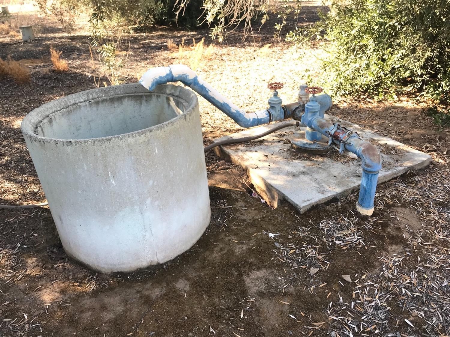 37.32 Acres, 0 SWC Ave. 212 and Rd. 236, Lindsay, CA 93247 Land and Farm