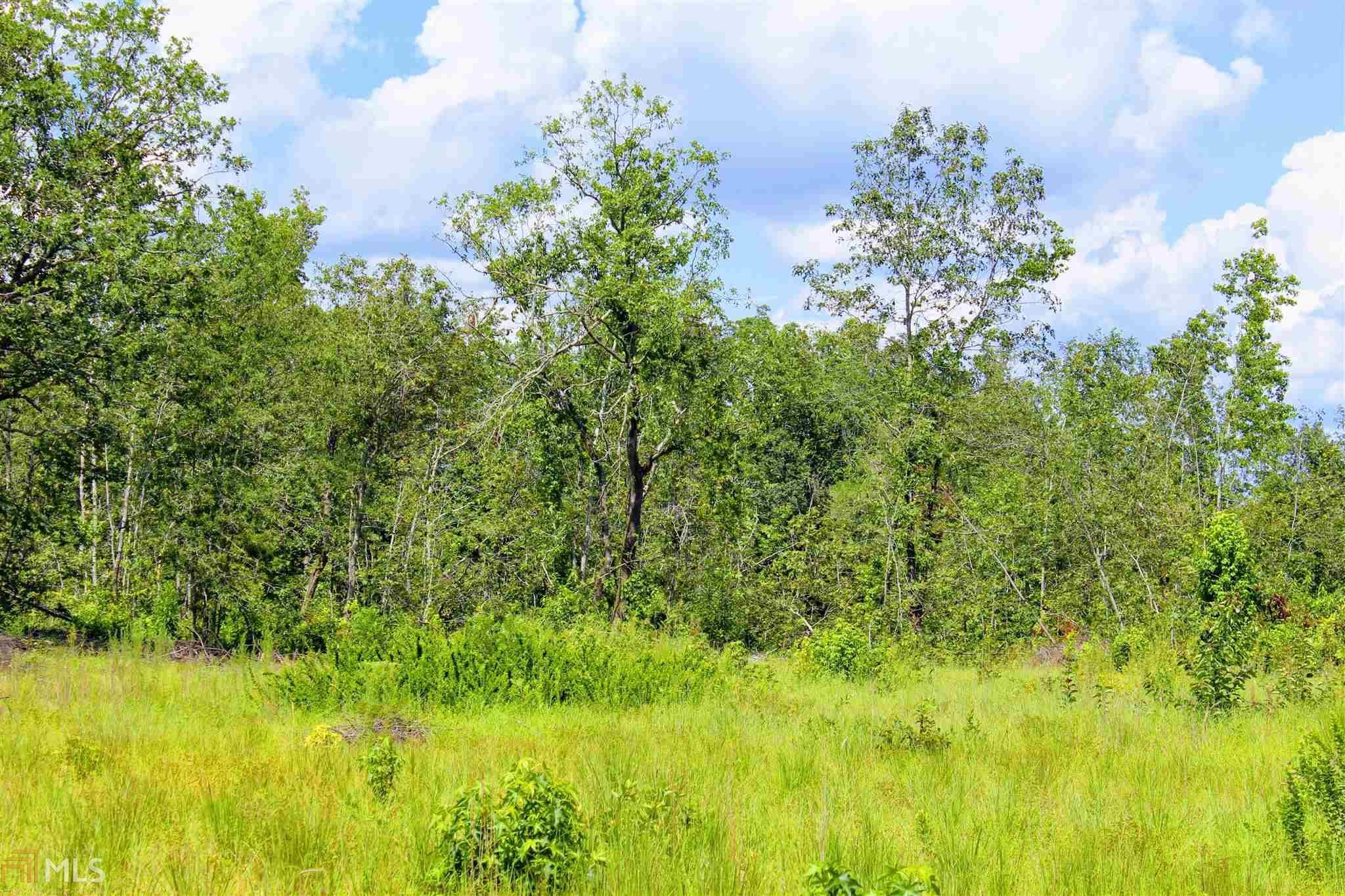 161 Acres, 0 Kelly Quarter Rd, Stapleton, GA 30823 Land and Farm