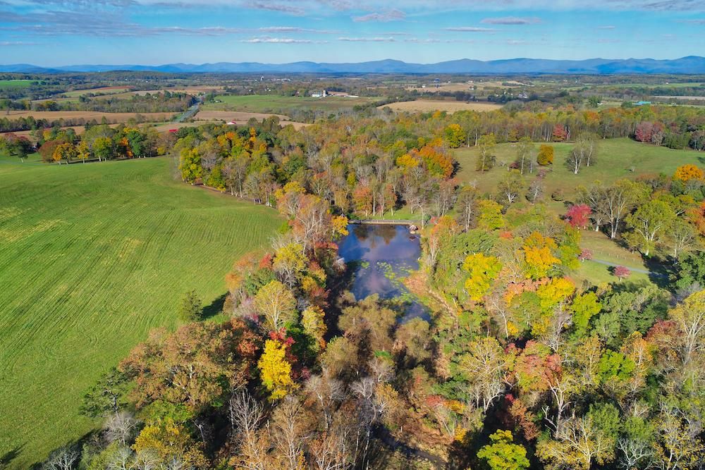 12490 Mt Athos Dr, Montpelier, VA 22957 Land and Farm
