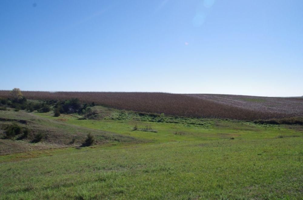 240 Acres, Ansley, NE 68855 Land and Farm