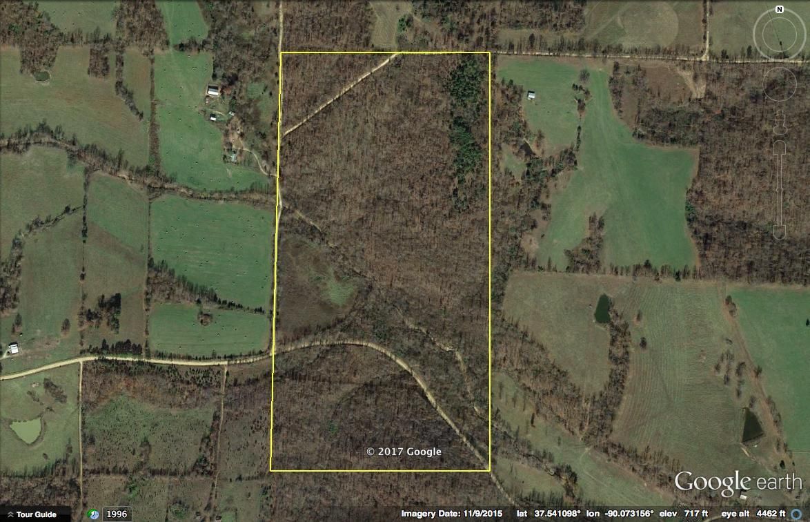 80 Acres, County Road 908, Patton, MO 63662 Land and Farm