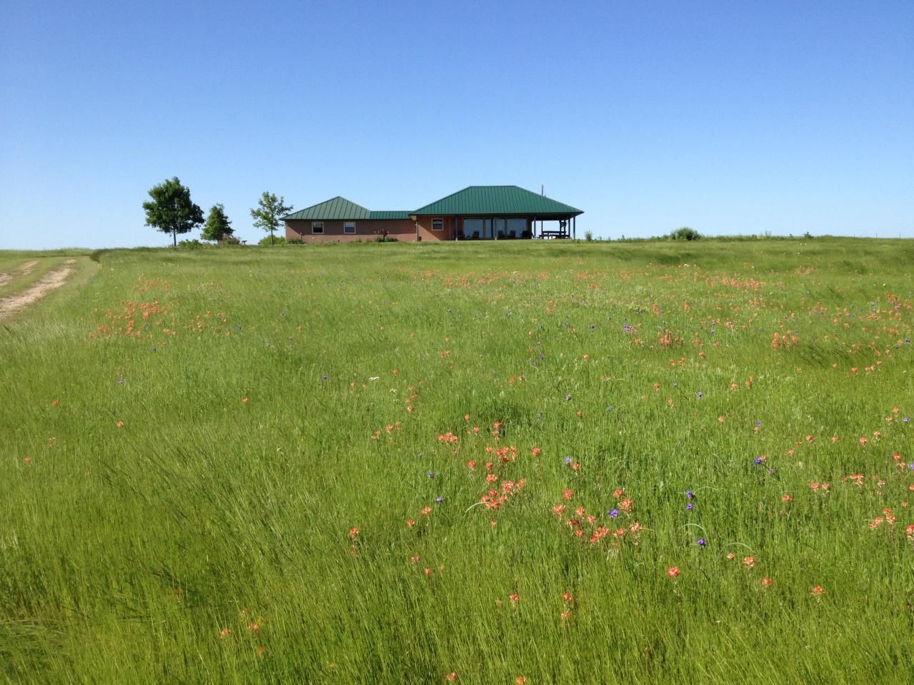 322 Acres, 307 Black Road, Petrolia, TX 76377 Land and Farm