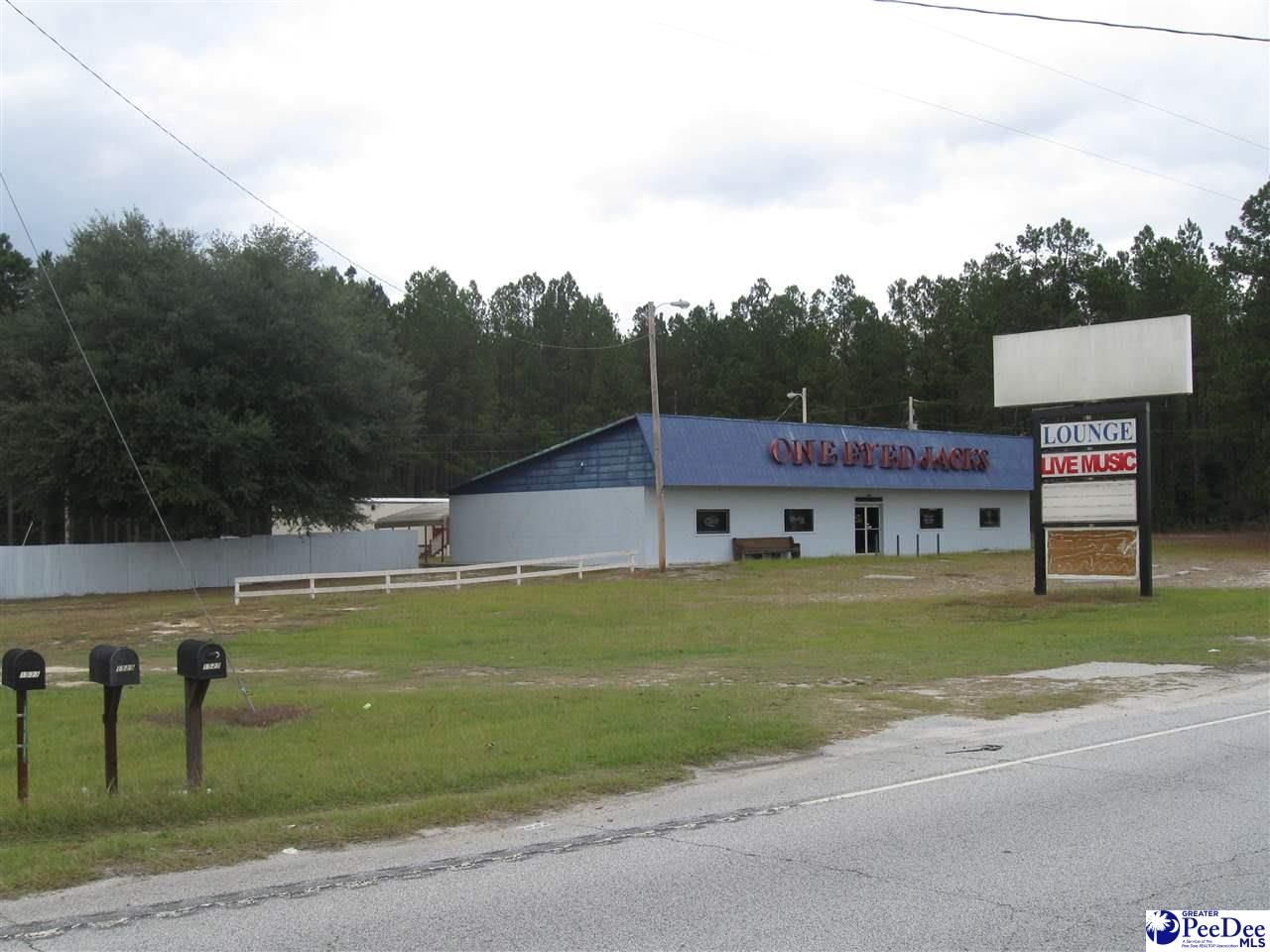 2 Acres, 1527 Highway 177, Wallace, SC 29596 Land and Farm