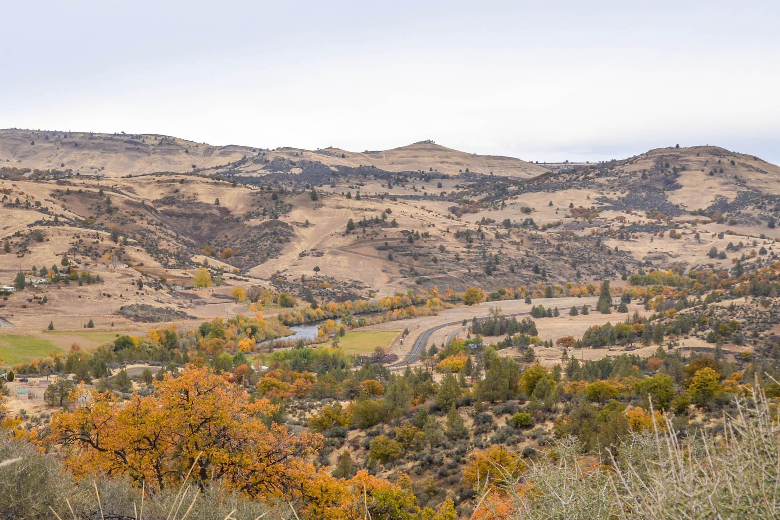 4.84 acres in Hornbrook, CA, 96044 Land and Farm