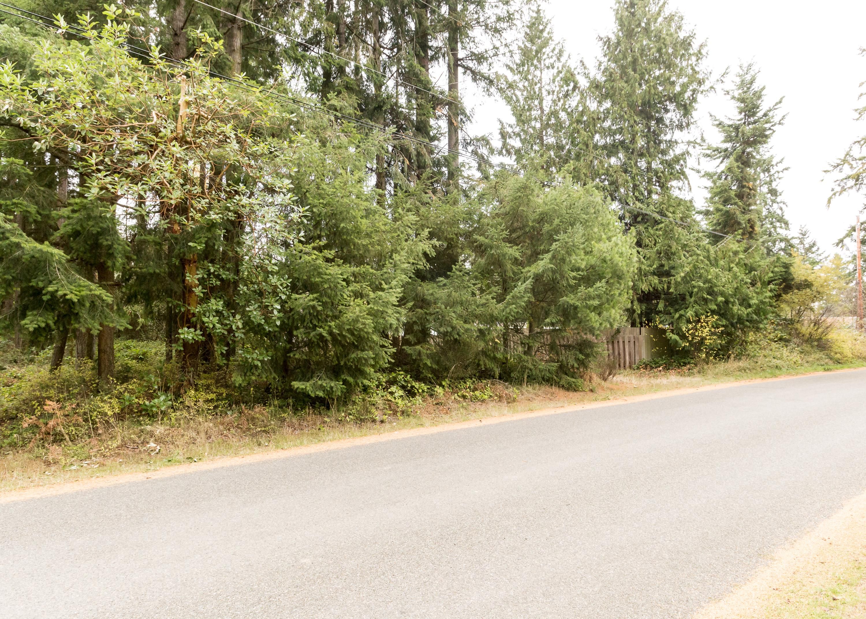 0.1 Acres, E Moore St, Port Hadlock, WA 98339 Land and Farm