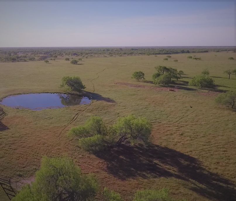 118 Acres, Skidmore, TX 78389 Land and Farm
