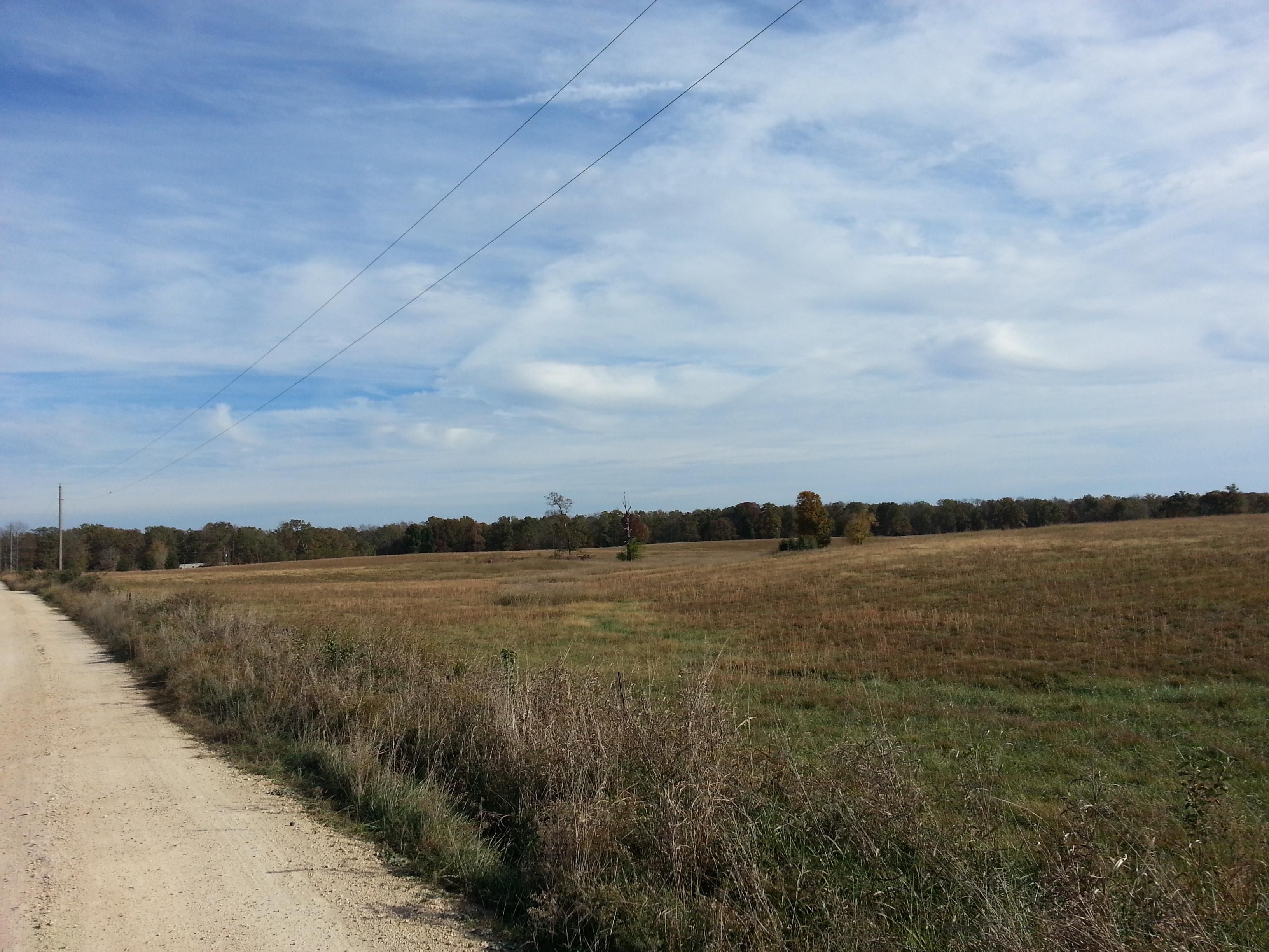 36.88 Acres, 9310 Buttermilk Ridge Road, Lawrenceburg, TN 38464 Land