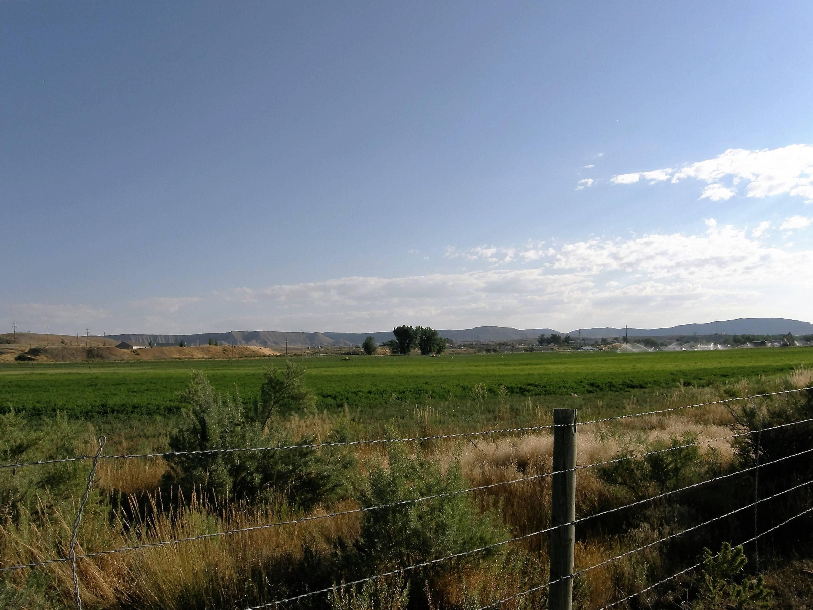 184 acres in Rangely, CO, 81648 Land and Farm