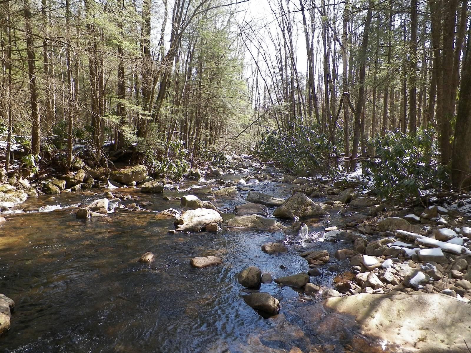 Bemis Road, Bemis, WV 26268 Land and Farm