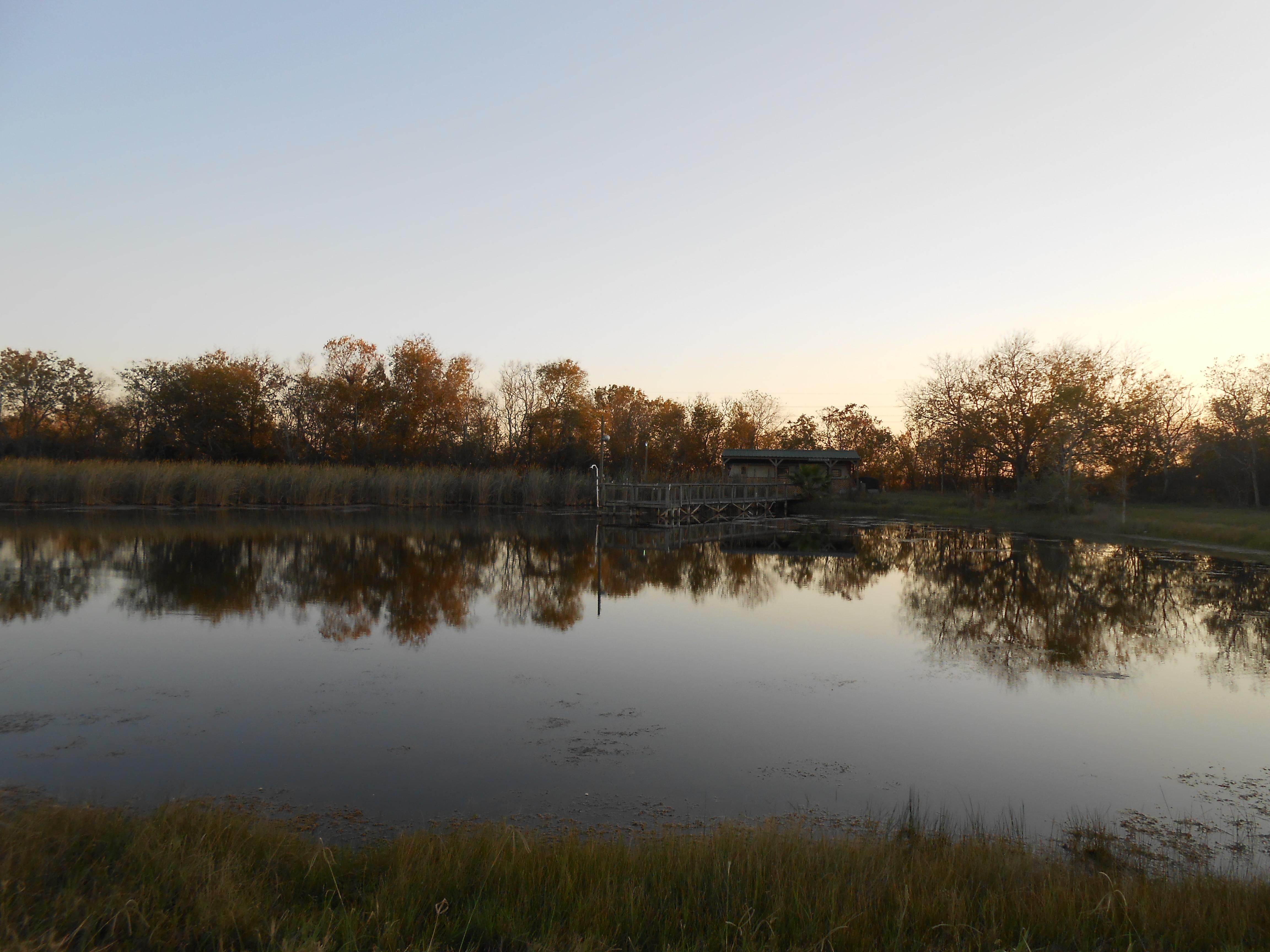 277.13 Acres, County Road 18, Damon, TX 77430 Land and Farm