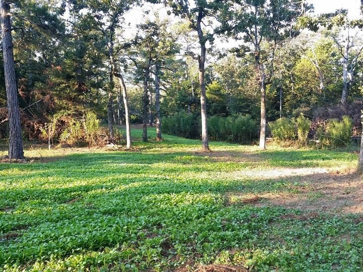 80 Acres, 80 AcresBear Creek, Leflore, OK 74942 Land and Farm