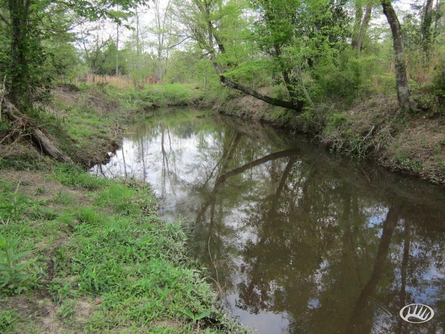 79 Acres, Hwy 1062, Husser, LA 70442 Land and Farm