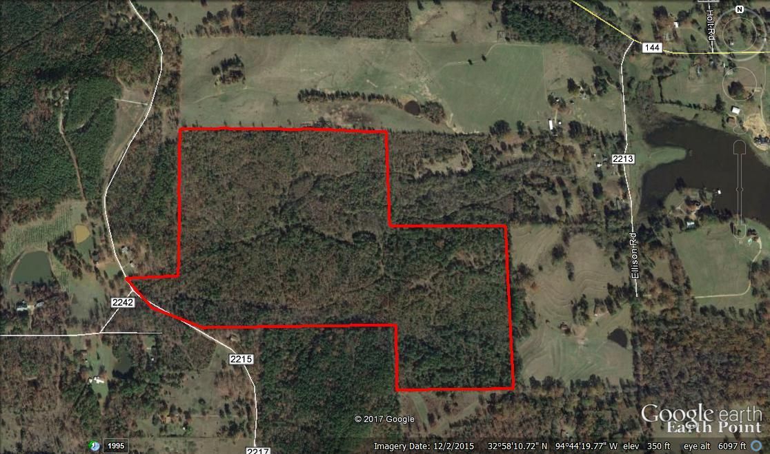 115 Acres, CR 2215, Daingerfield, TX 75638 Land and Farm