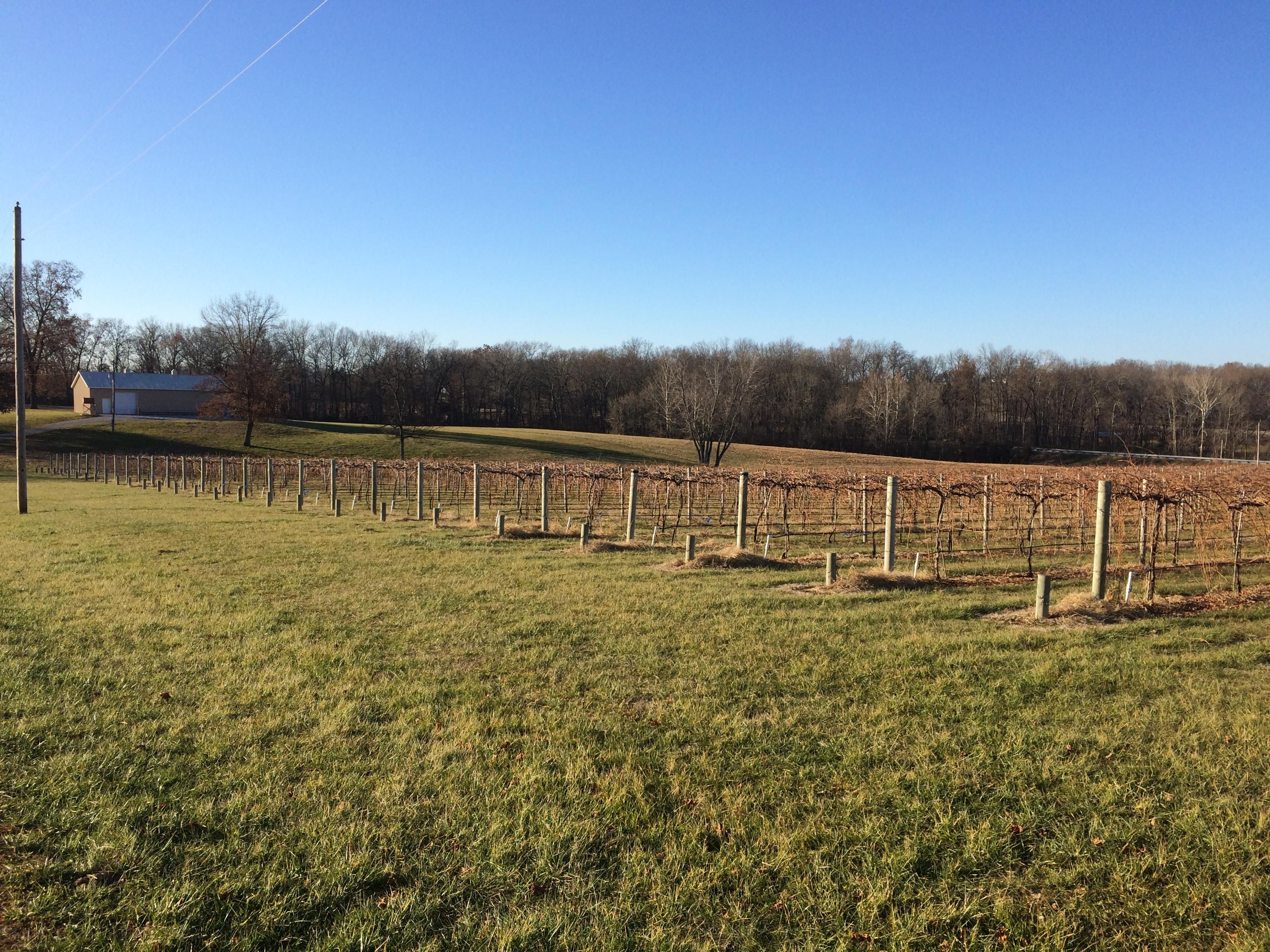 Lick Creek Road, Anna, IL 62906 MLS 2402917232 Land and Farm