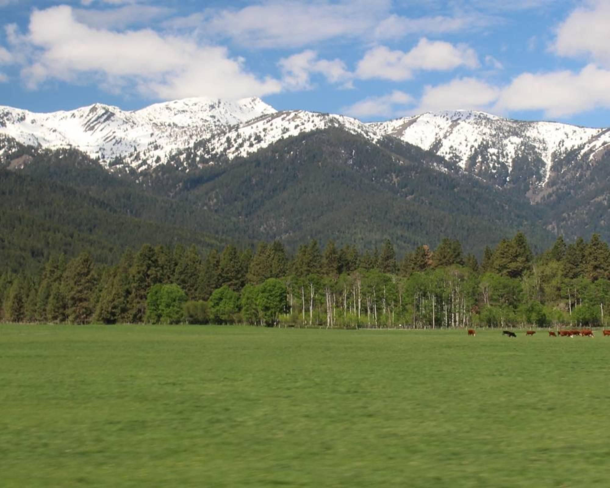 42690 Pocahontas Road, Baker City, OR 97814 Land and Farm