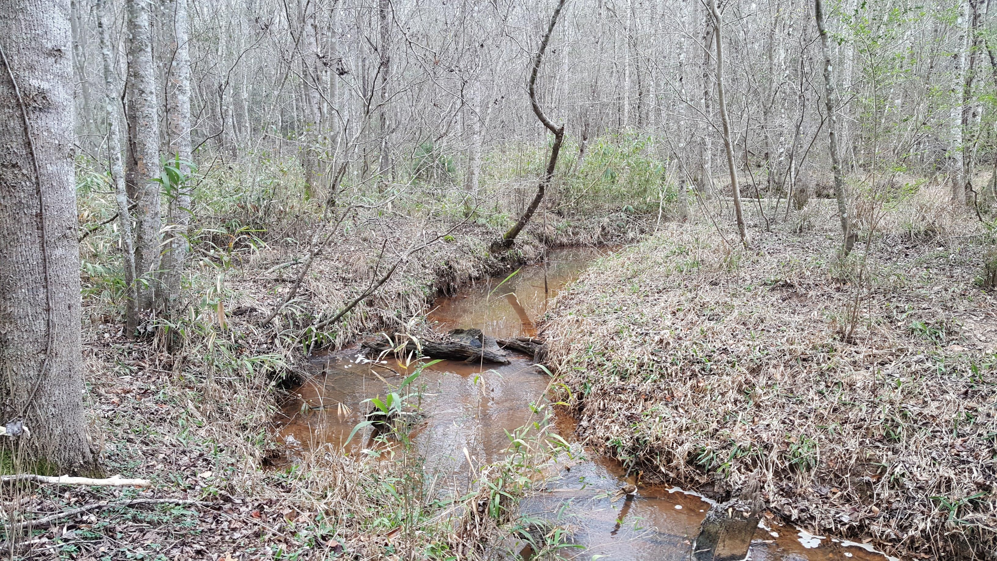 43 Acres, Wilbur Gamble Road, Dawson, GA 39842 Land and Farm