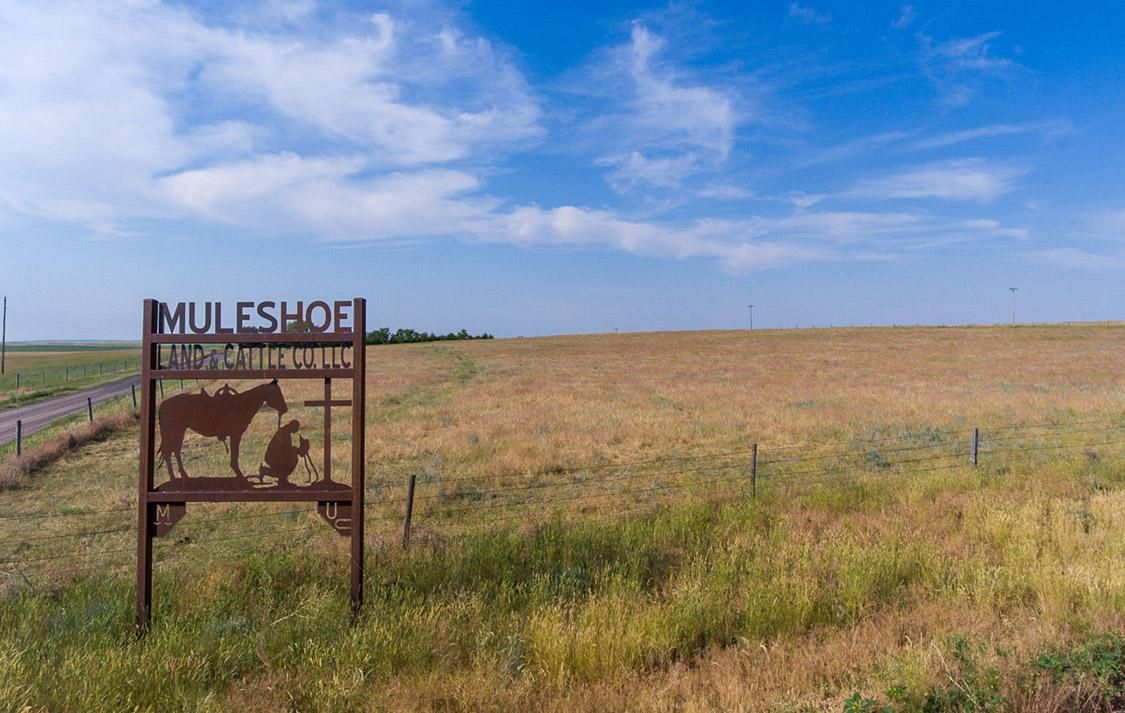 4,606 acres in Torrington, WY, 82240 Land and Farm