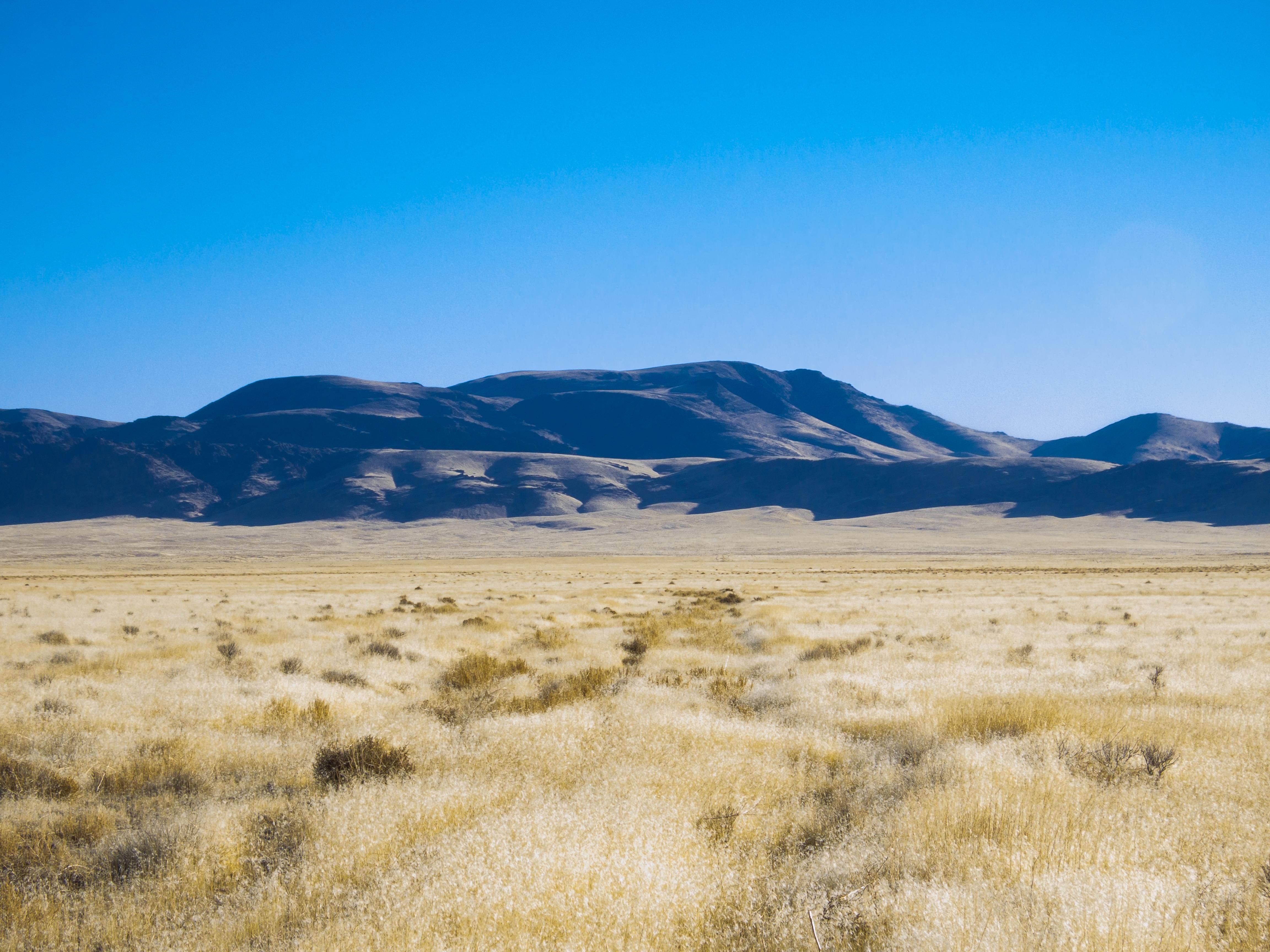 320 Acres, Golconda, NV 89414 Land and Farm