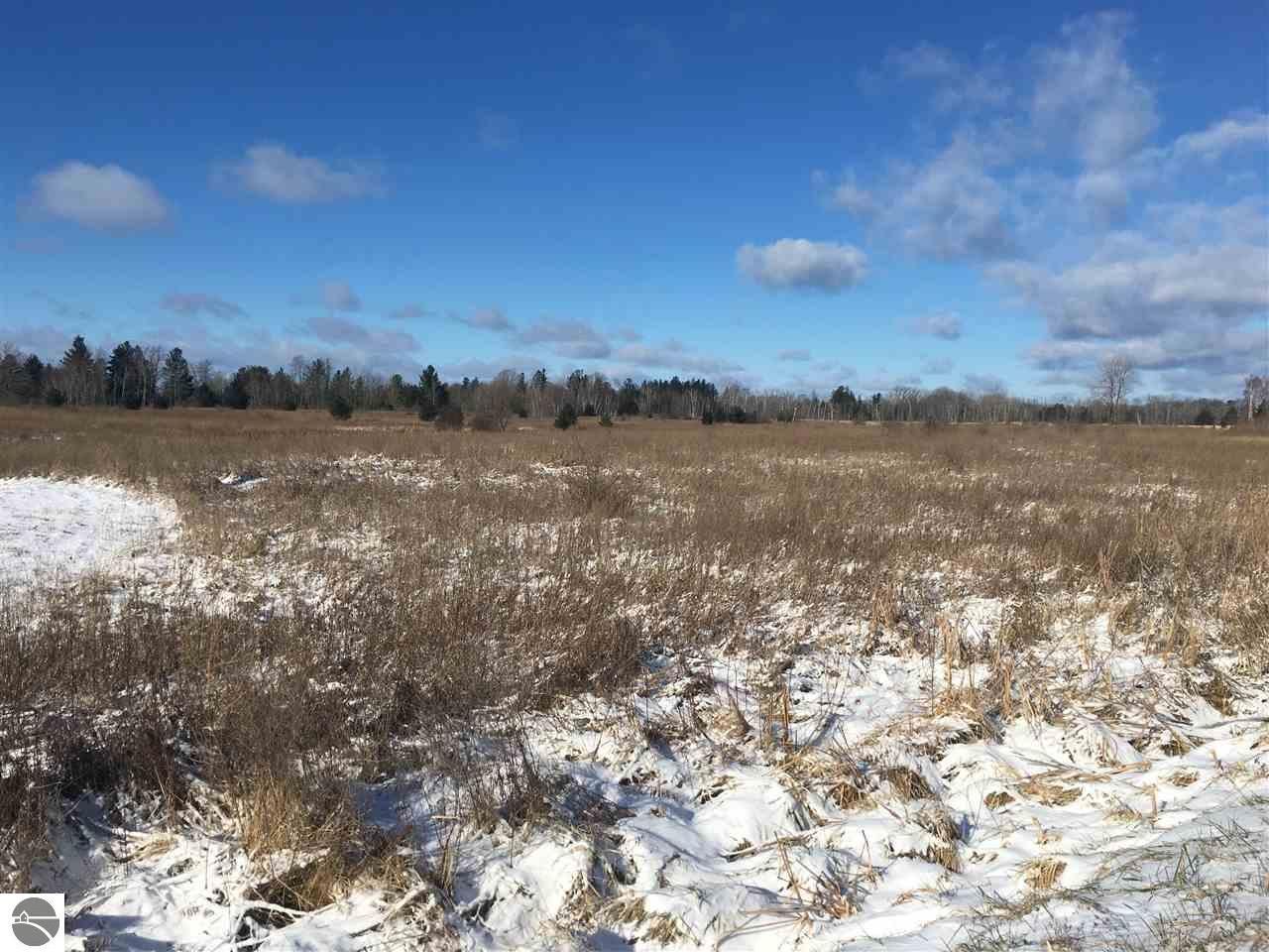 40 Acres, 0 S Lorenz Road, Tawas City, MI 48763 Land and Farm