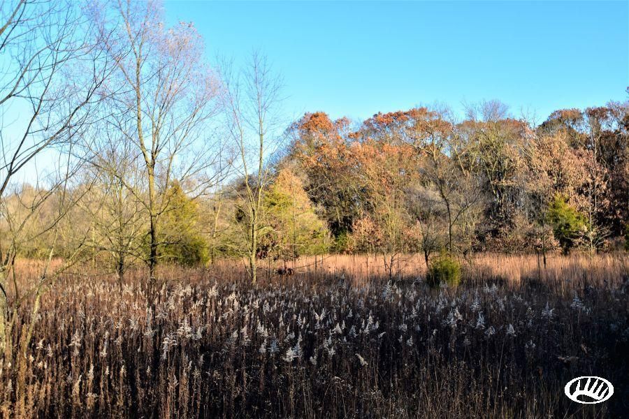 59.53 Acres, 500 S. & 275 W., LotWP001, North Judson, IN 46366 Land