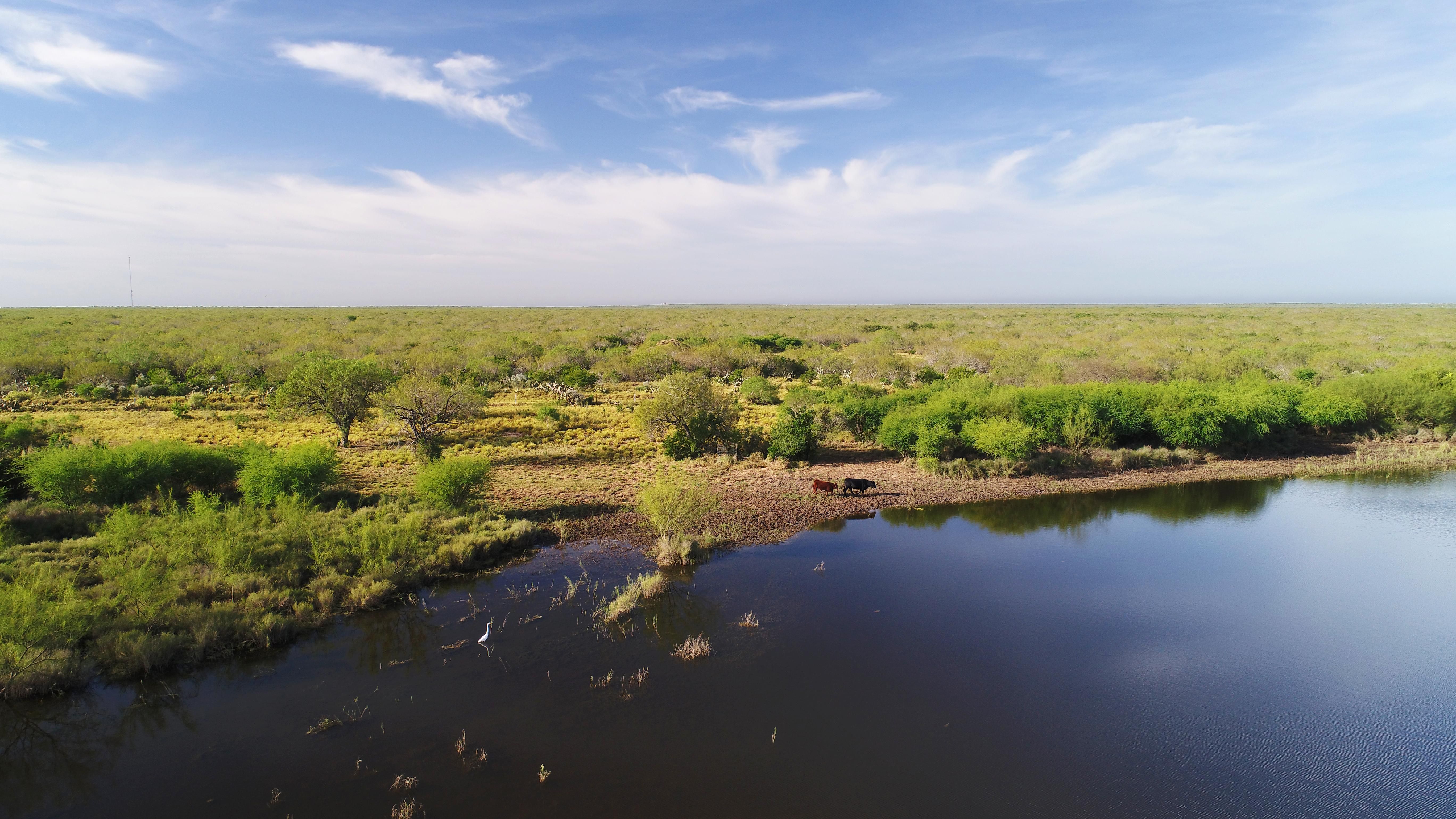 FM 2895, Oilton, TX 78371 MLS North Shipp Ranch Land and Farm