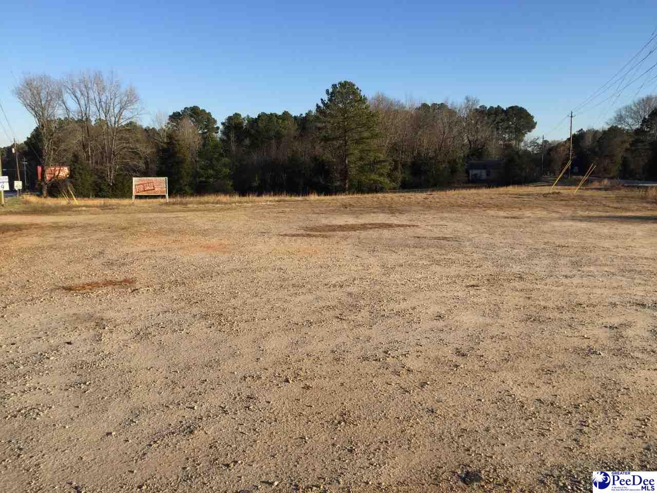 5.8 Acres, 670 E Boulevard, Chesterfield, SC 29709 Land and Farm